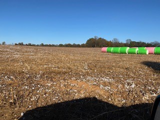 0 Pleasant Ridge Road And Prince L Huntland TN 37345