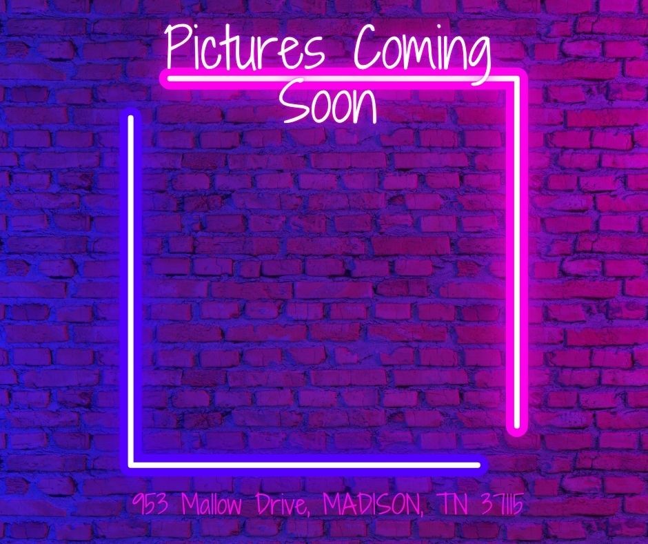 953 Mallow Drive Madison TN 37115