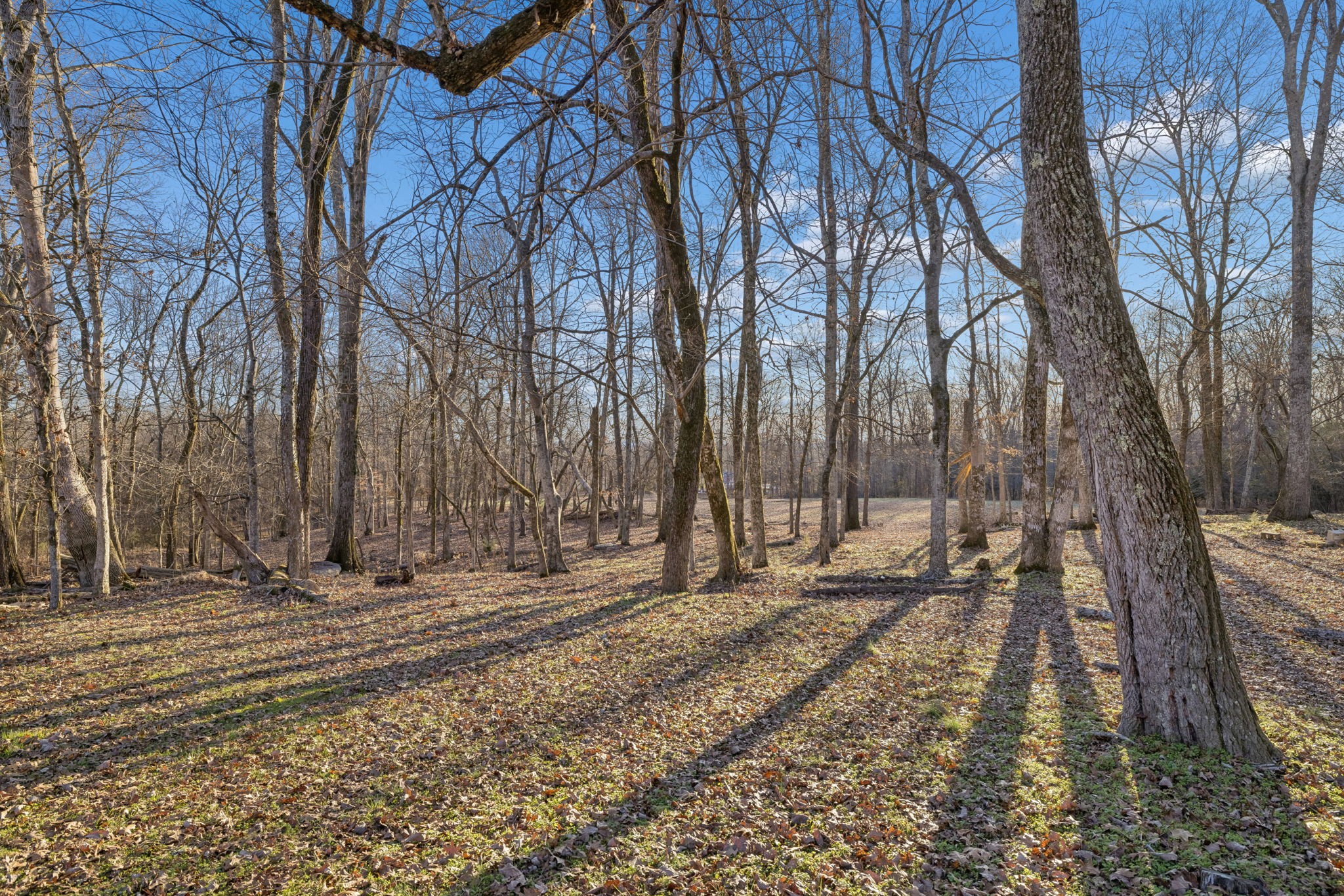 1366 Iron Bridge Road Columbia TN 38401