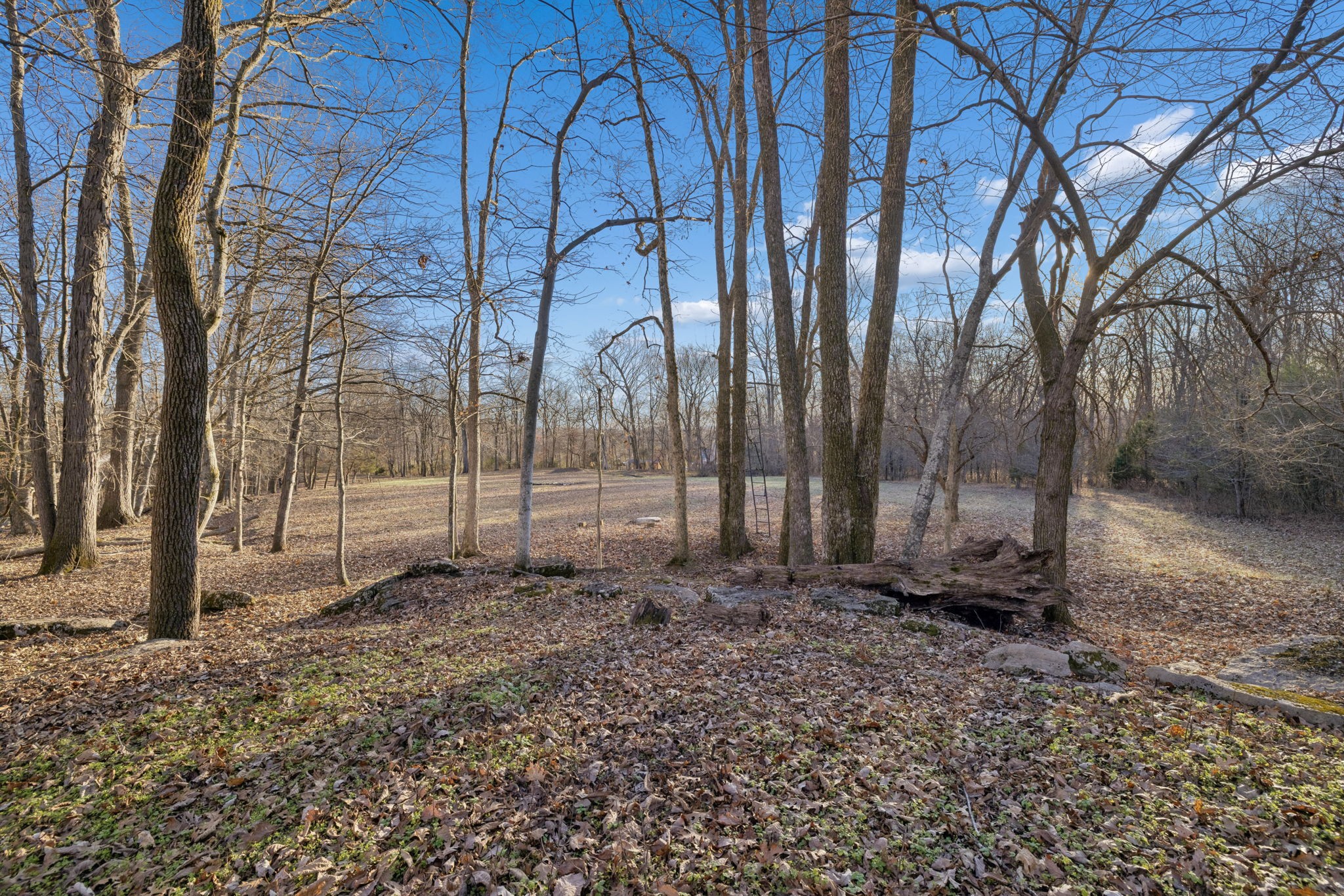 1366 Iron Bridge Road Columbia TN 38401