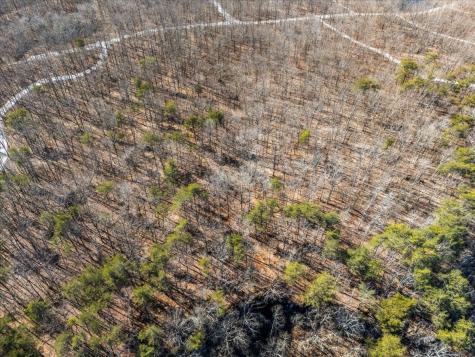 0 Bridal Veil South Monteagle TN 37356