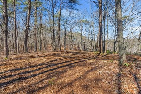 0 Bridal Veil South Monteagle TN 37356
