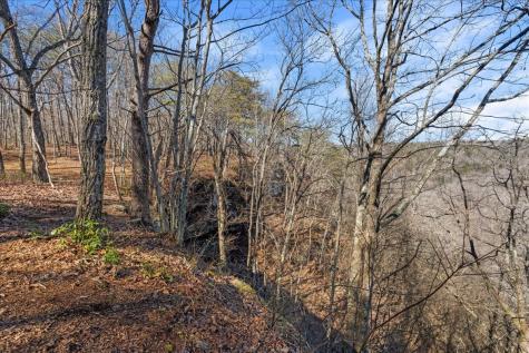 0 Bridal Veil South Monteagle TN 37356