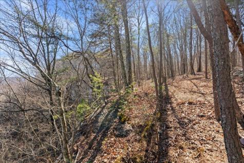 0 Bridal Veil South Monteagle TN 37356