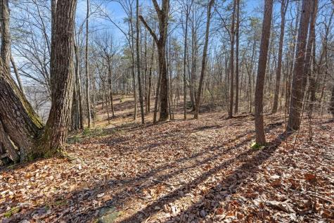 0 Bridal Veil South Monteagle TN 37356