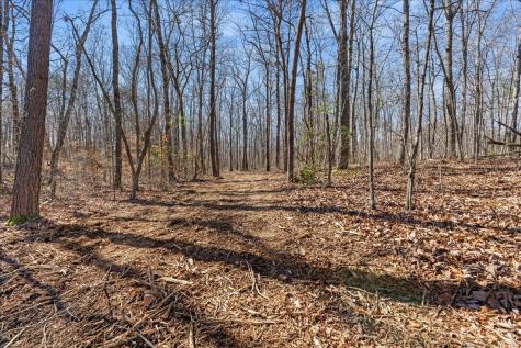 0 Bridal Veil South Monteagle TN 37356
