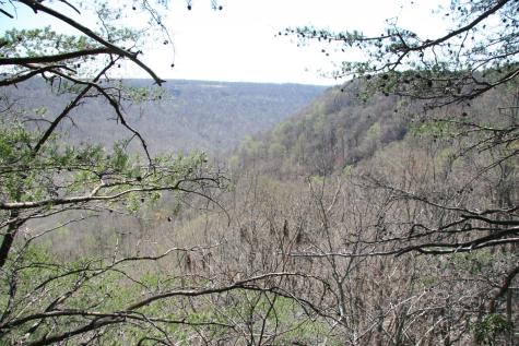 0 Bridal Veil South Monteagle TN 37356