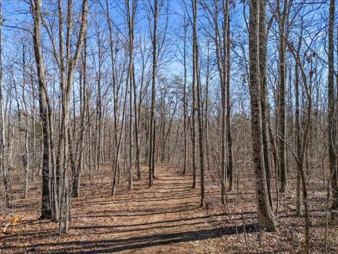 0 Bridal Veil South Monteagle TN 37356
