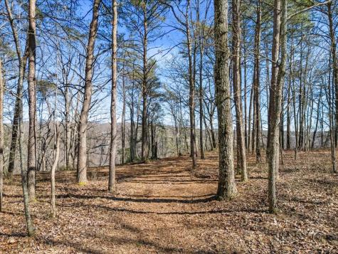 0 Bridal Veil South Monteagle TN 37356