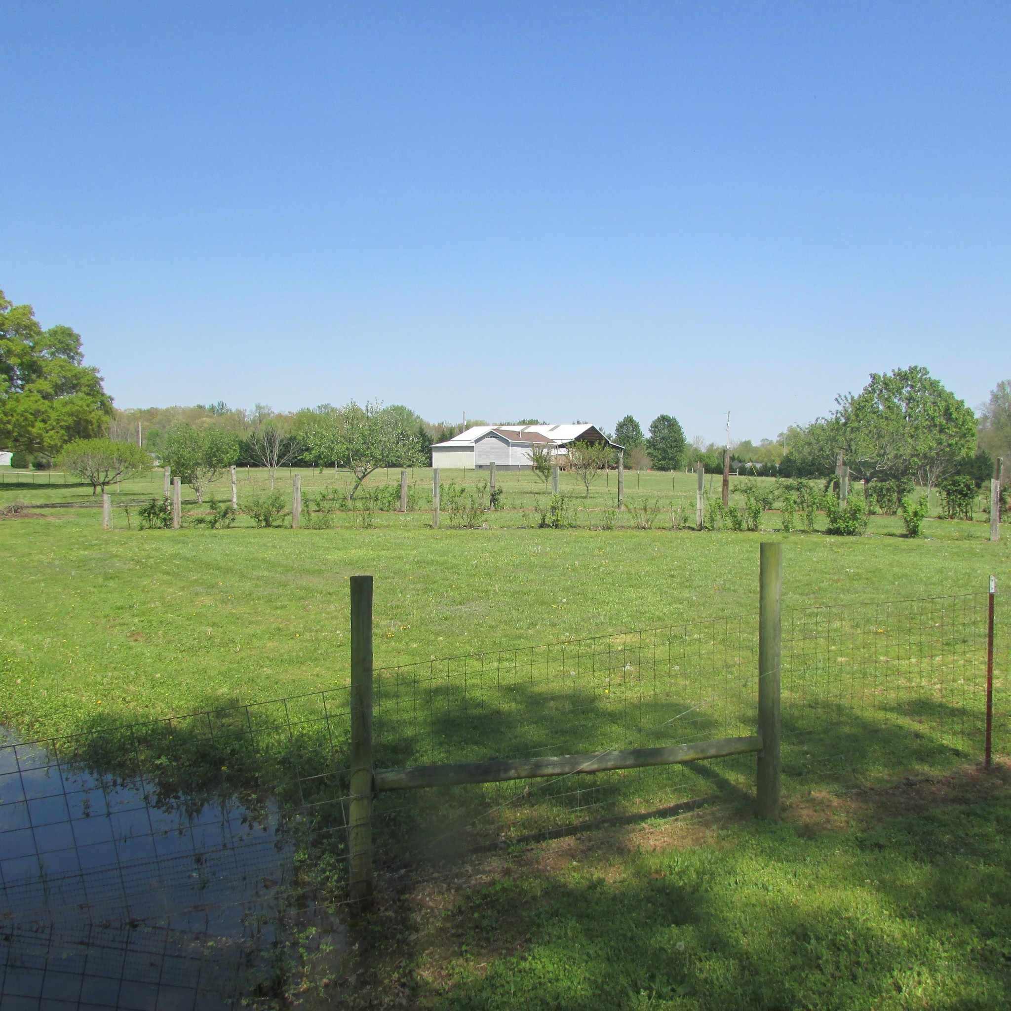 75 Snell Road Ethridge TN 38456
