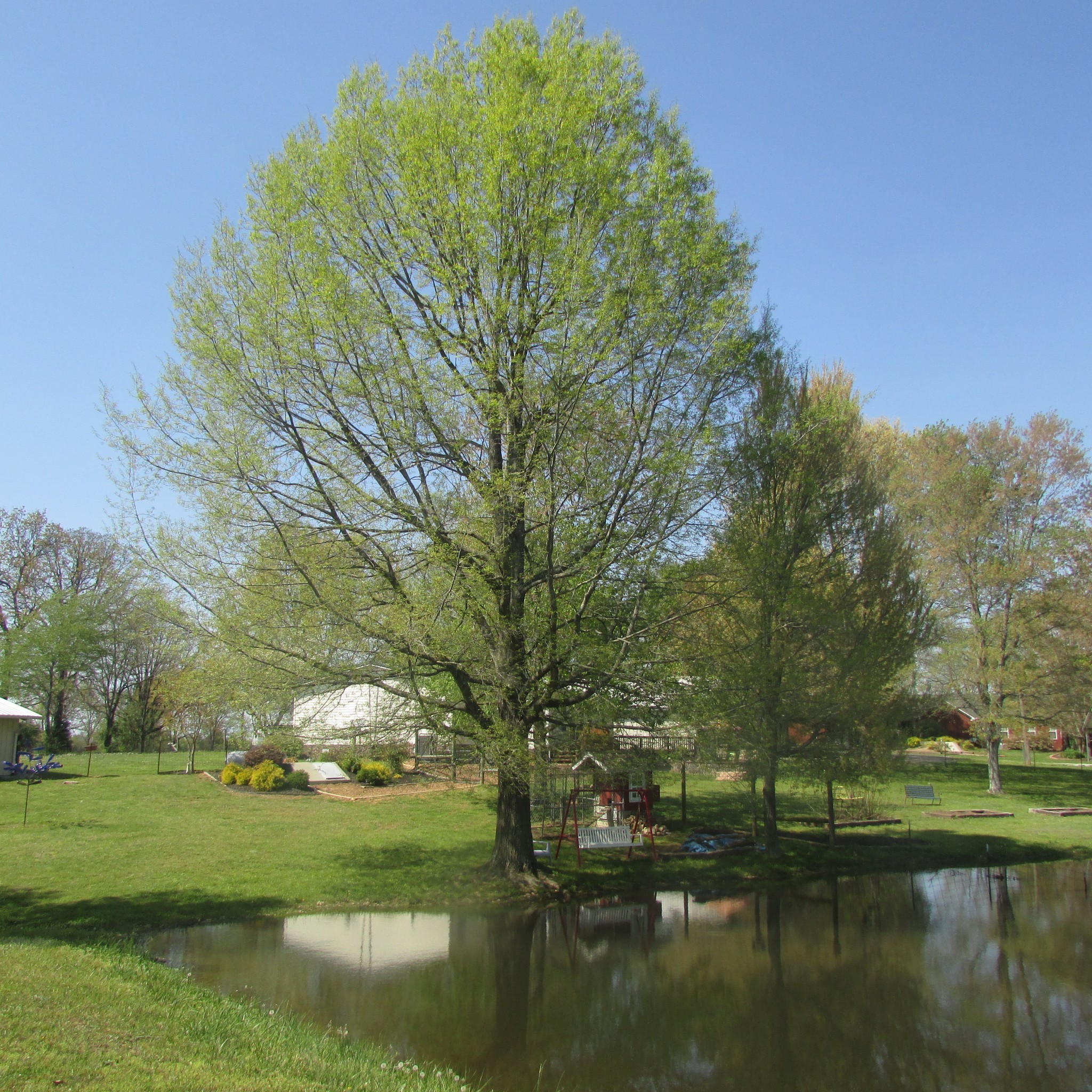 75 Snell Road Ethridge TN 38456