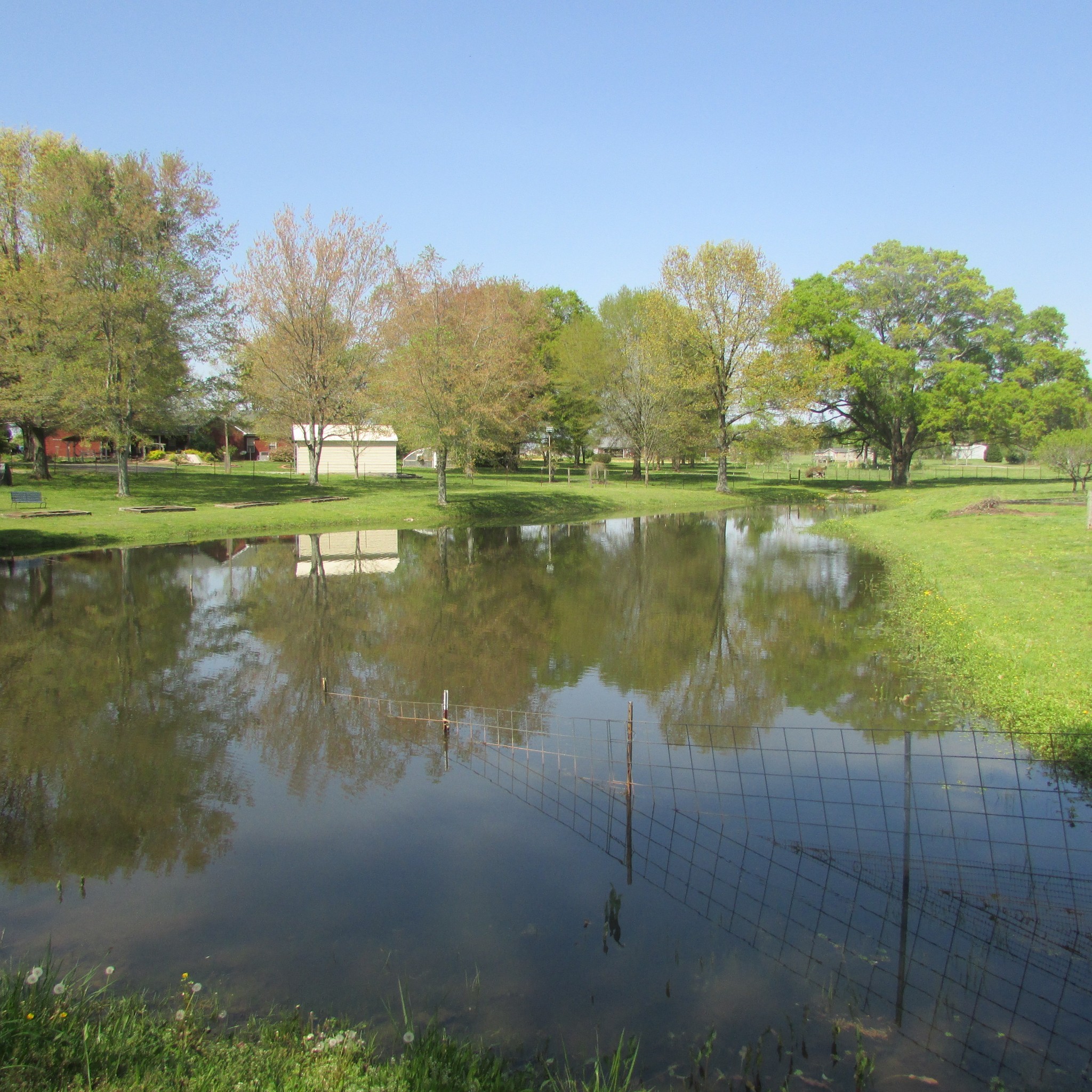 75 Snell Road Ethridge TN 38456