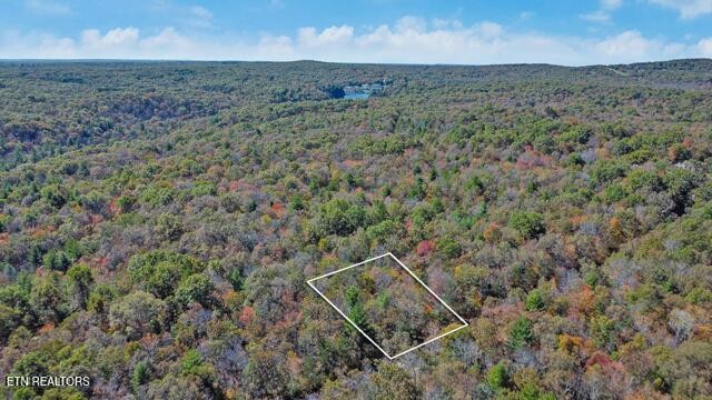 120 Newcastle Lane Crossville TN 38555