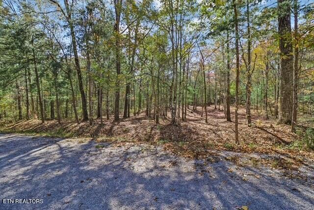 120 Newcastle Lane Crossville TN 38555