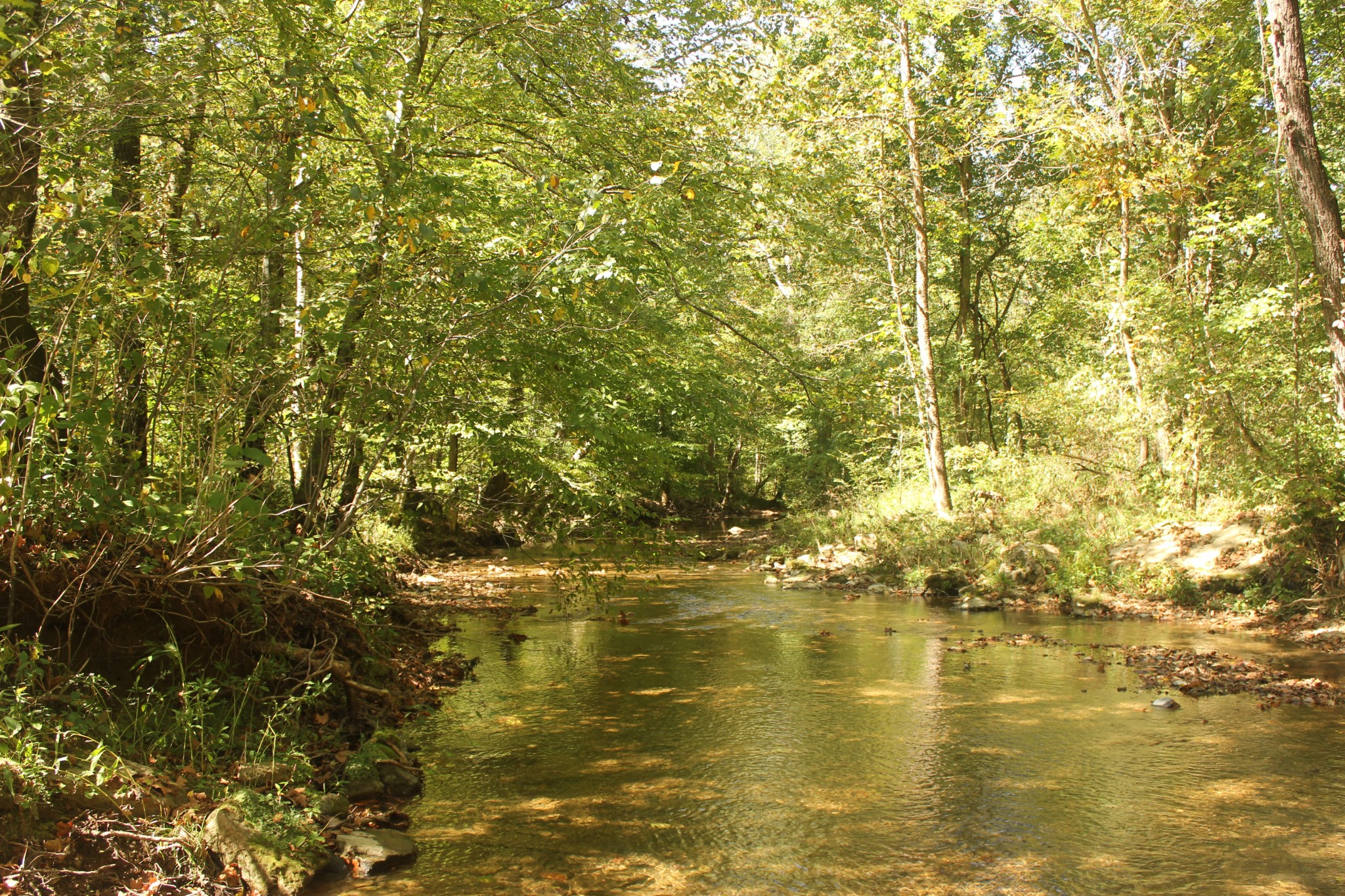 0 Puncheon Creek Road Lafayette TN 37083