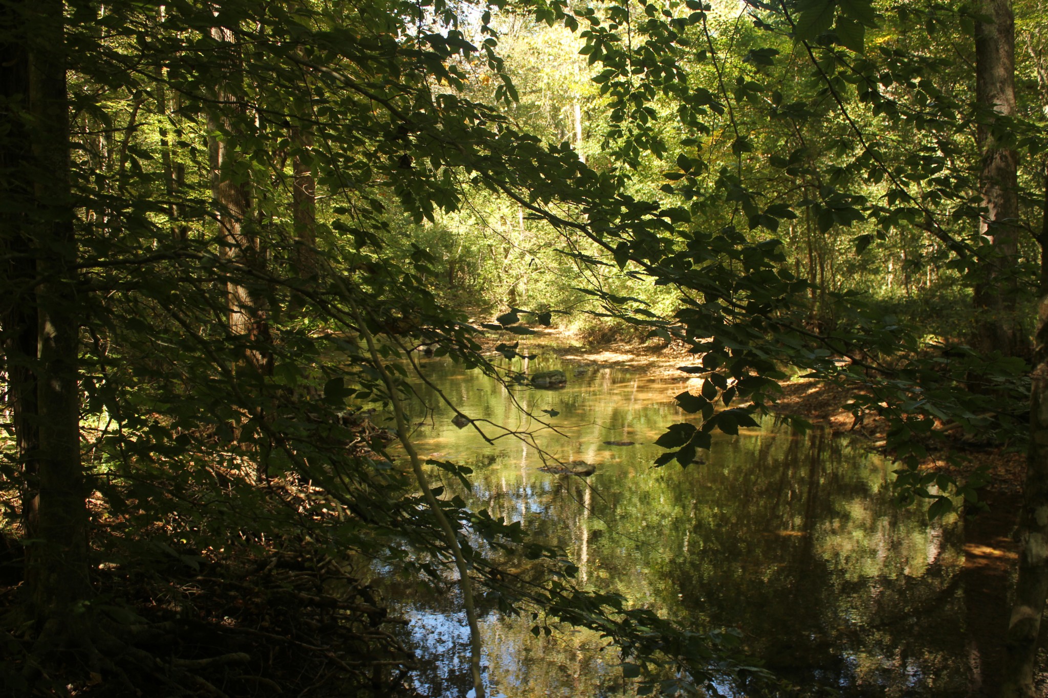 0 Puncheon Creek Road Lafayette TN 37083