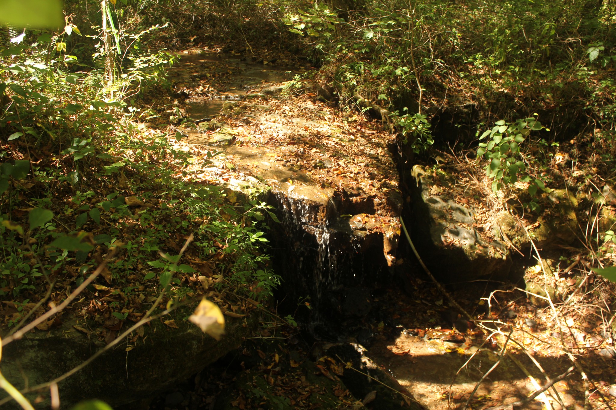 0 Puncheon Creek Road Lafayette TN 37083