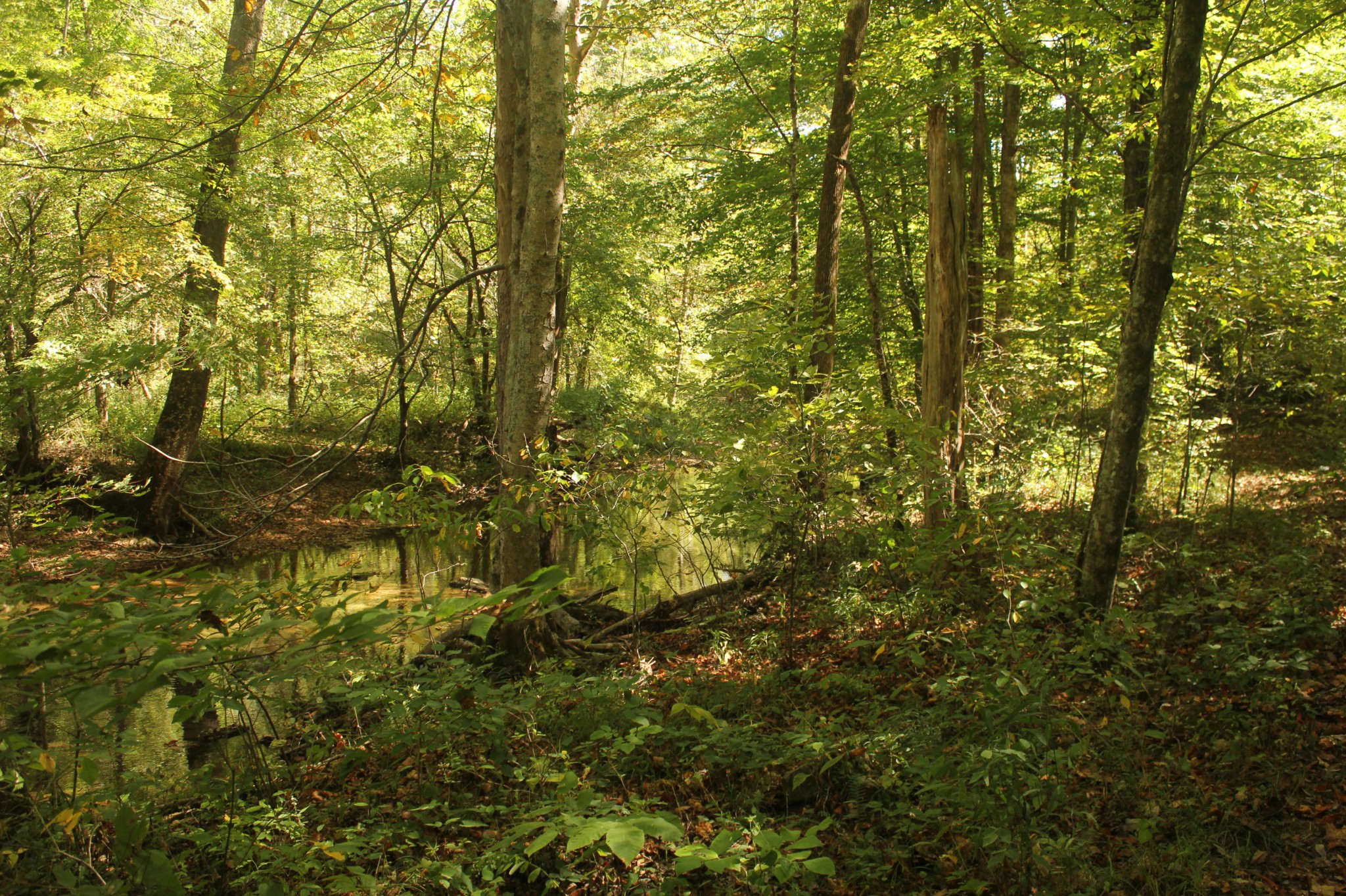 0 Puncheon Creek Road Lafayette TN 37083
