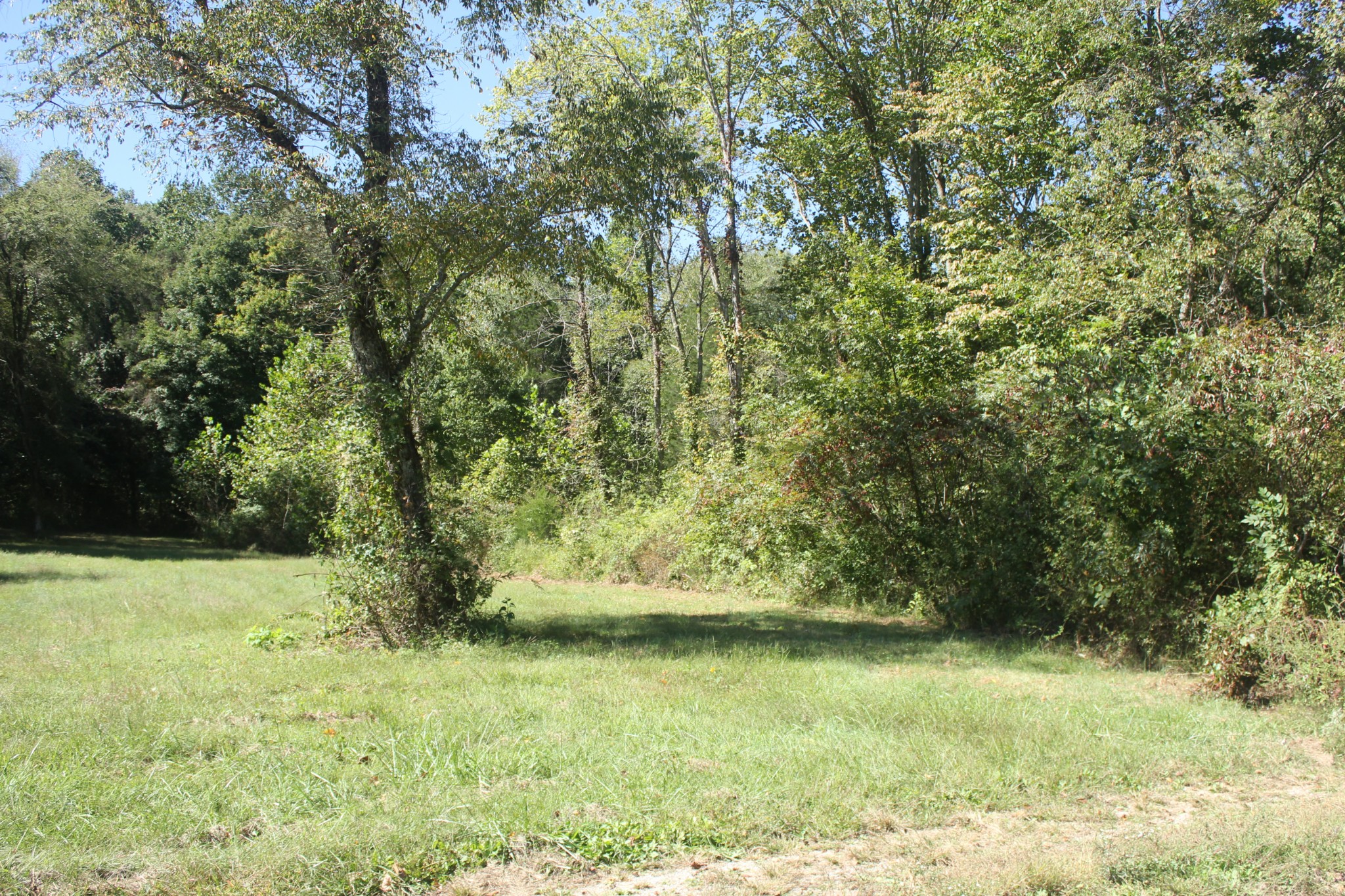 0 Puncheon Creek Road Lafayette TN 37083