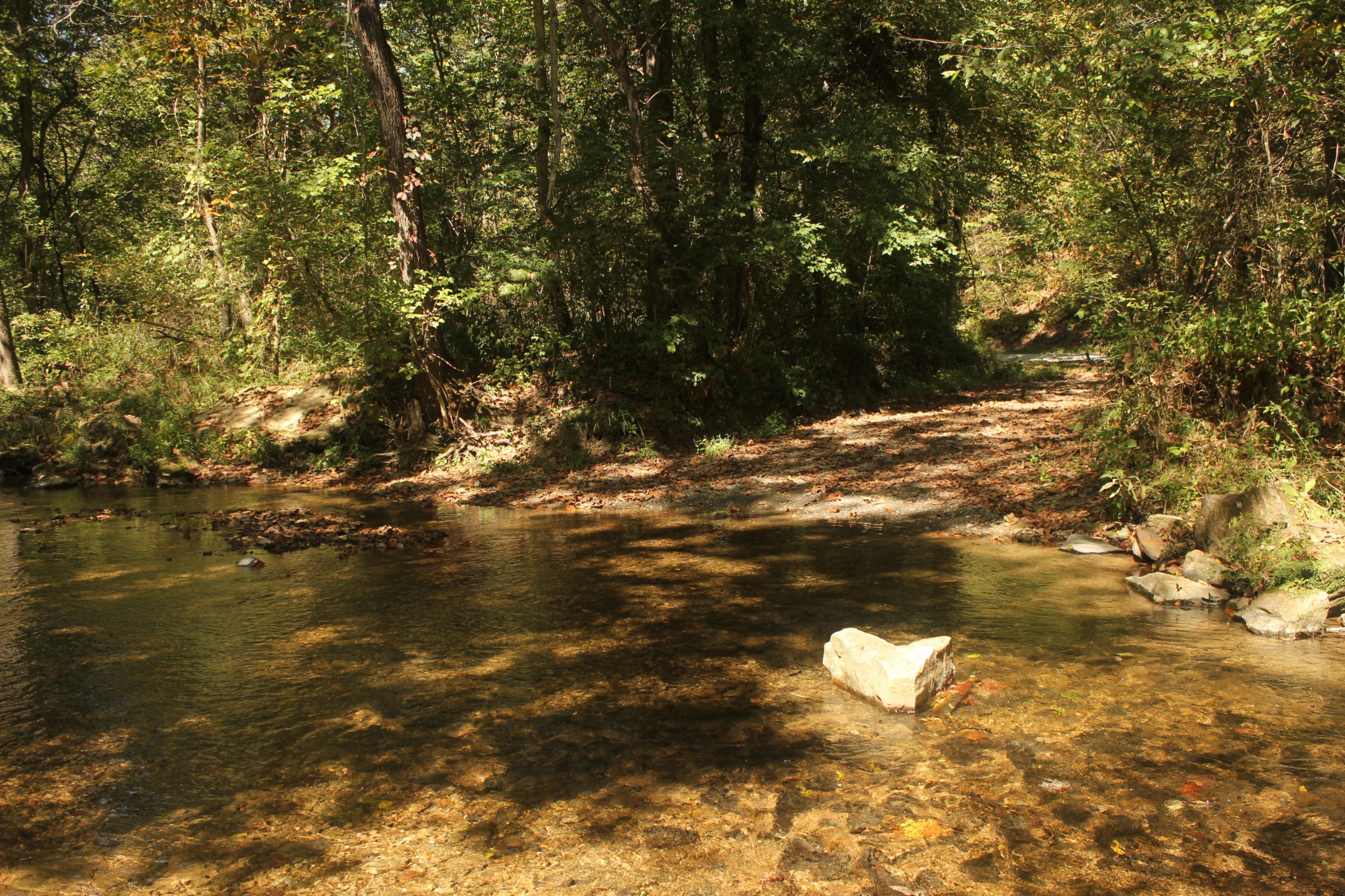 0 Puncheon Creek Road Lafayette TN 37083