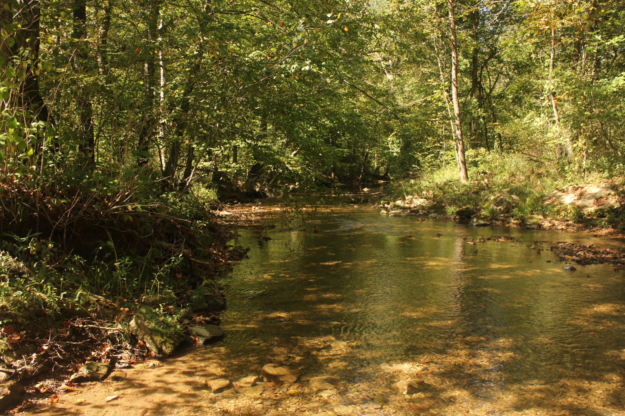 0 Puncheon Creek Road Lafayette TN 37083