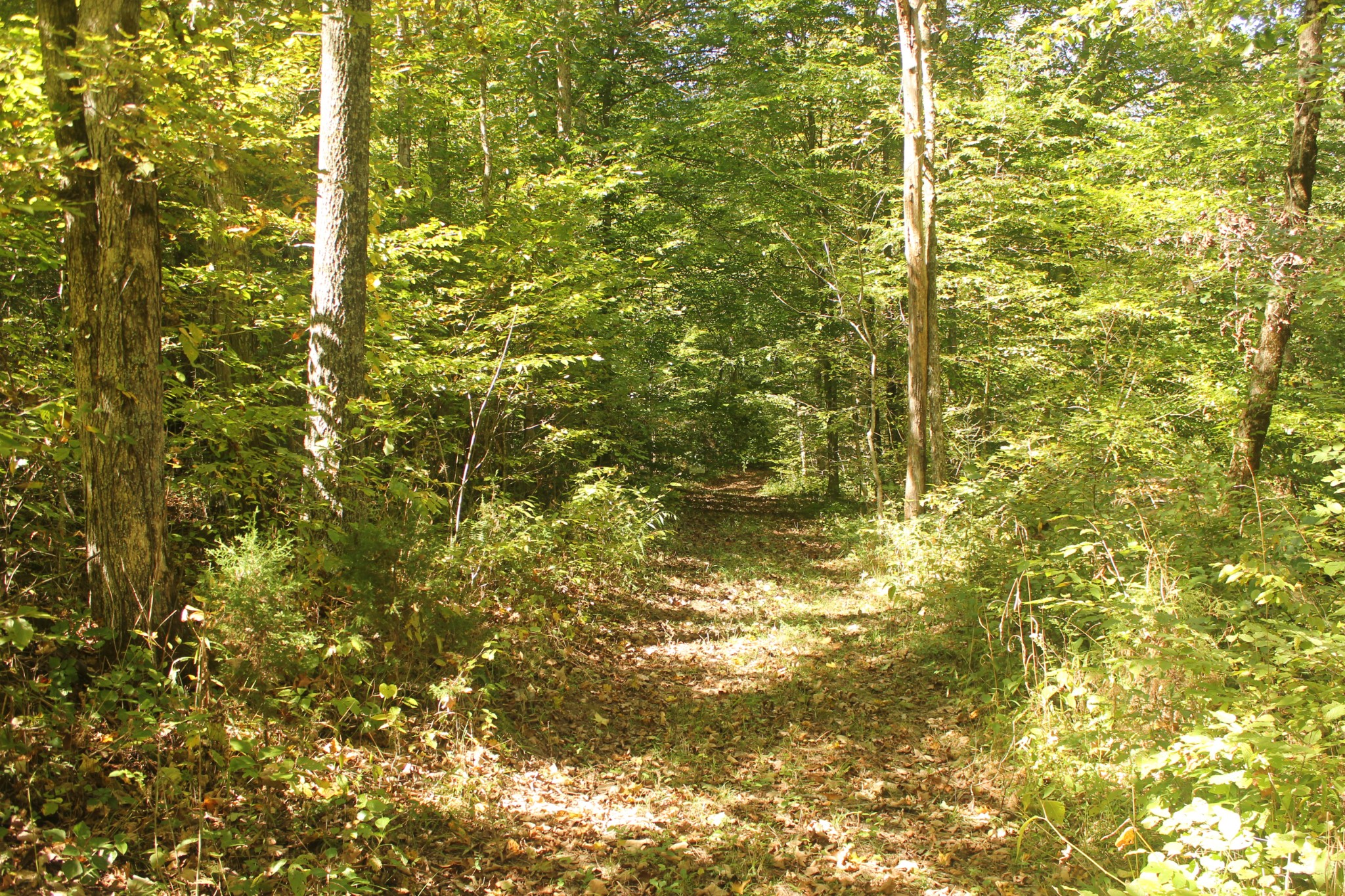 0 Puncheon Creek Road Lafayette TN 37083