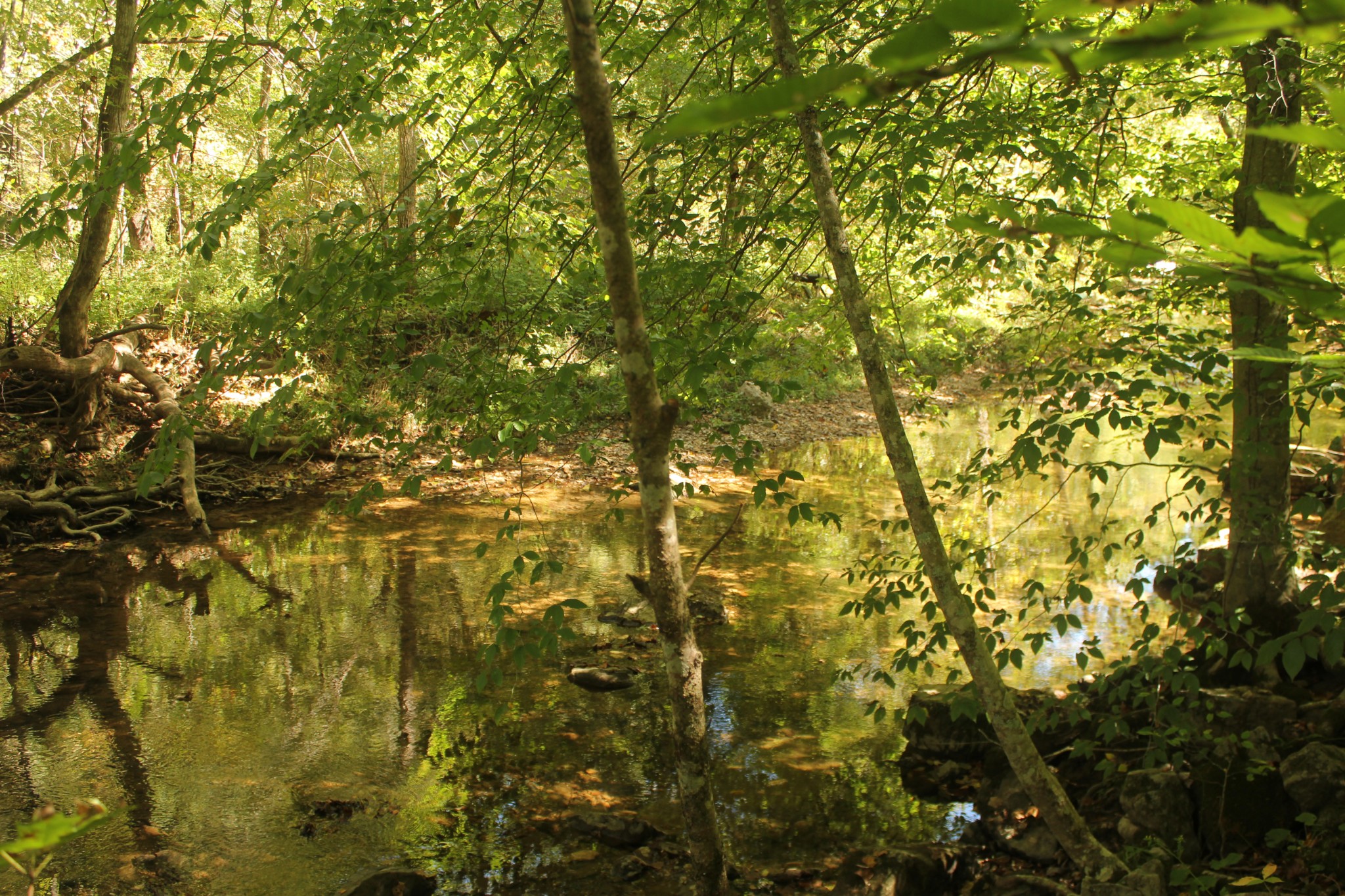 0 Puncheon Creek Road Lafayette TN 37083