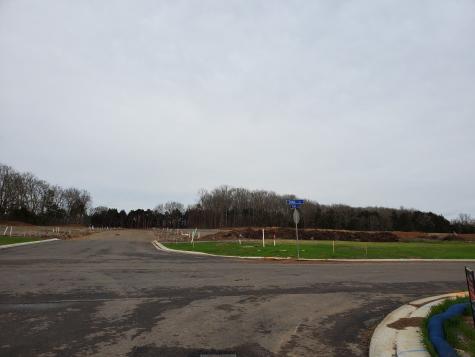 2815 Upstream Road Christiana TN 37037