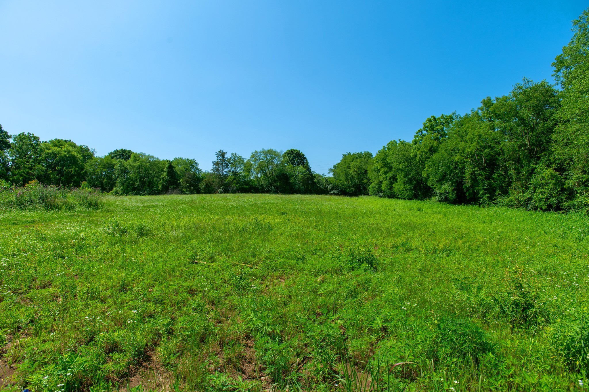 0 Shannon Avenue Madison TN 37115