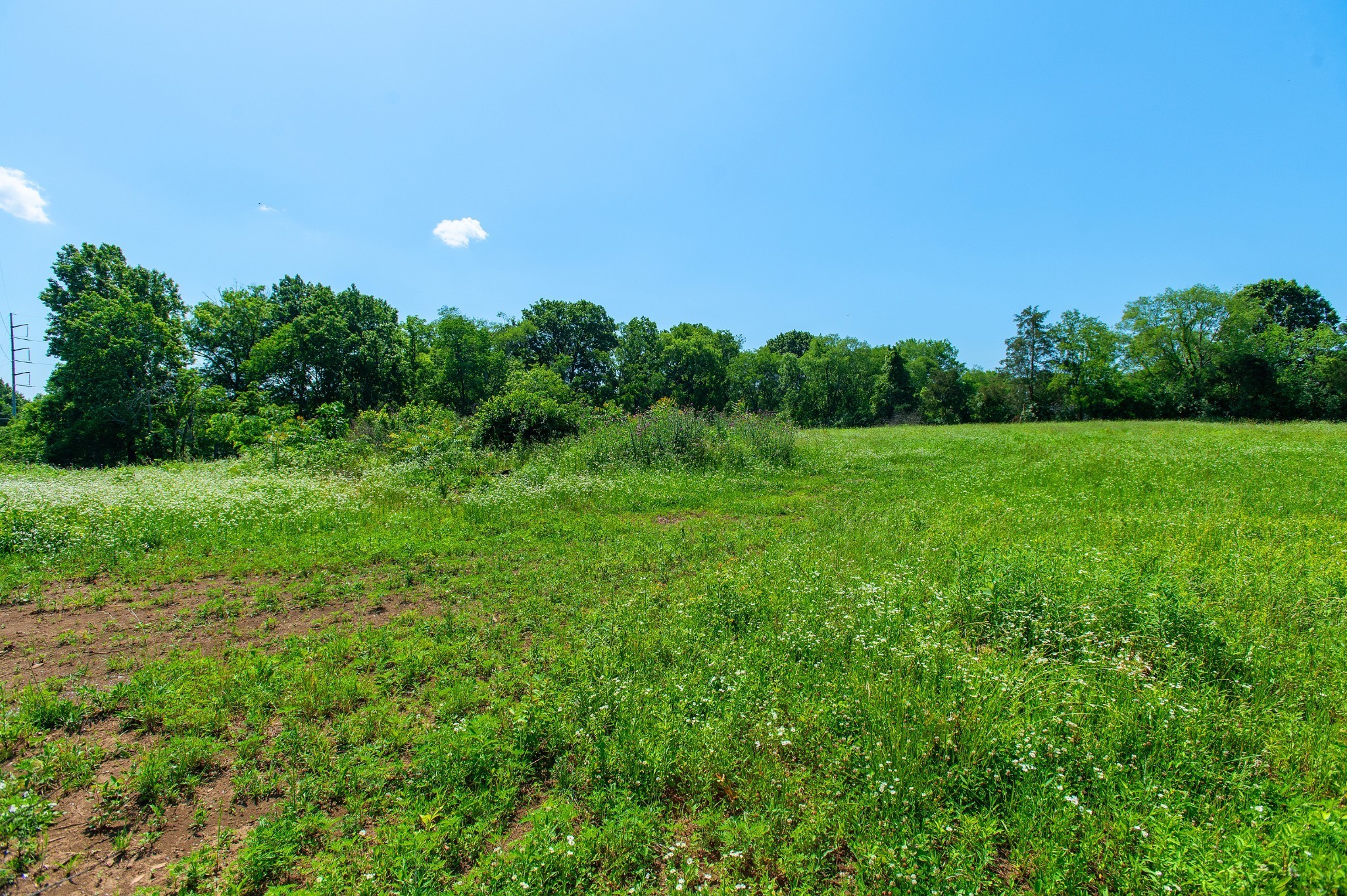 0 Shannon Avenue Madison TN 37115