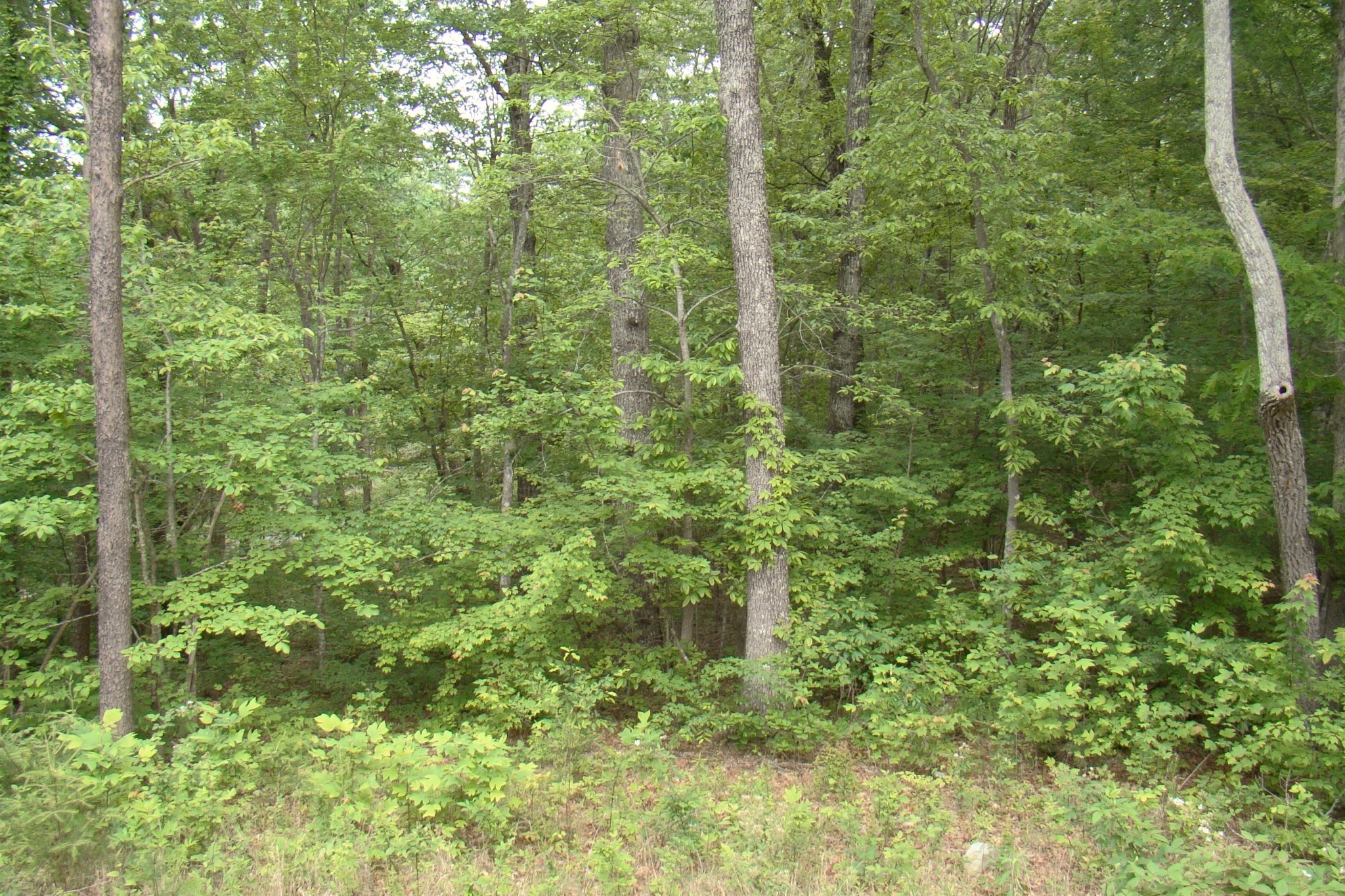 0 Retreat Drive Crossville TN 38572