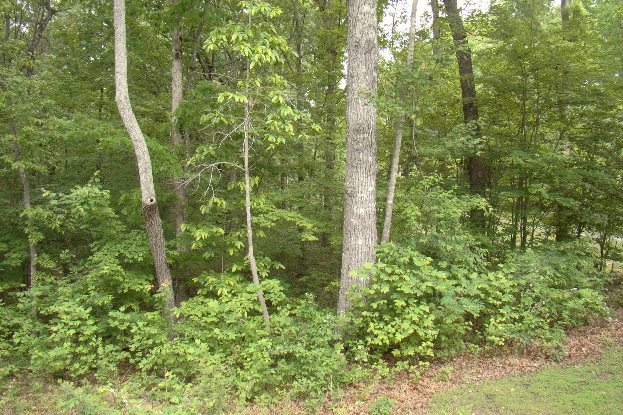 0 Retreat Drive Crossville TN 38572