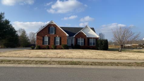 338 Dixie Lane Pleasant View TN 37146
