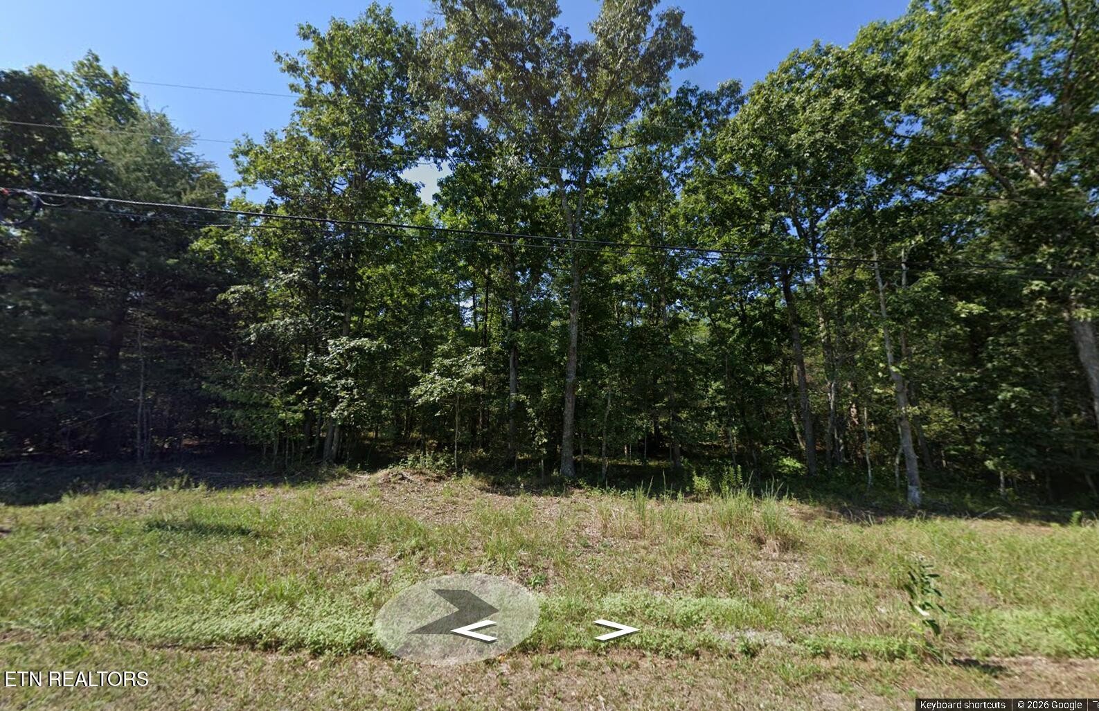 1030 Geronimo Lane Crossville TN 38572