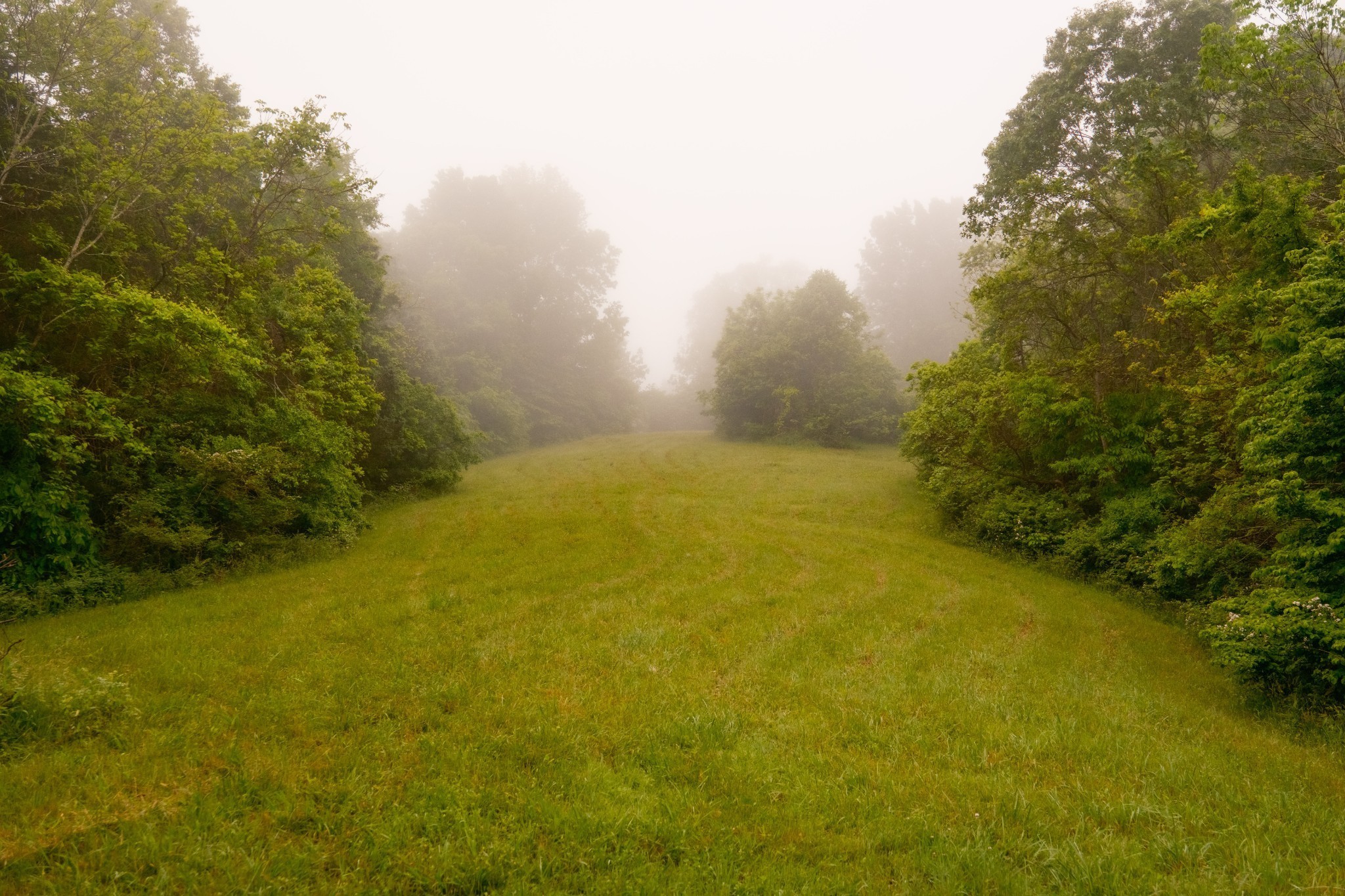5620 Leipers Creek Road Franklin TN 37064