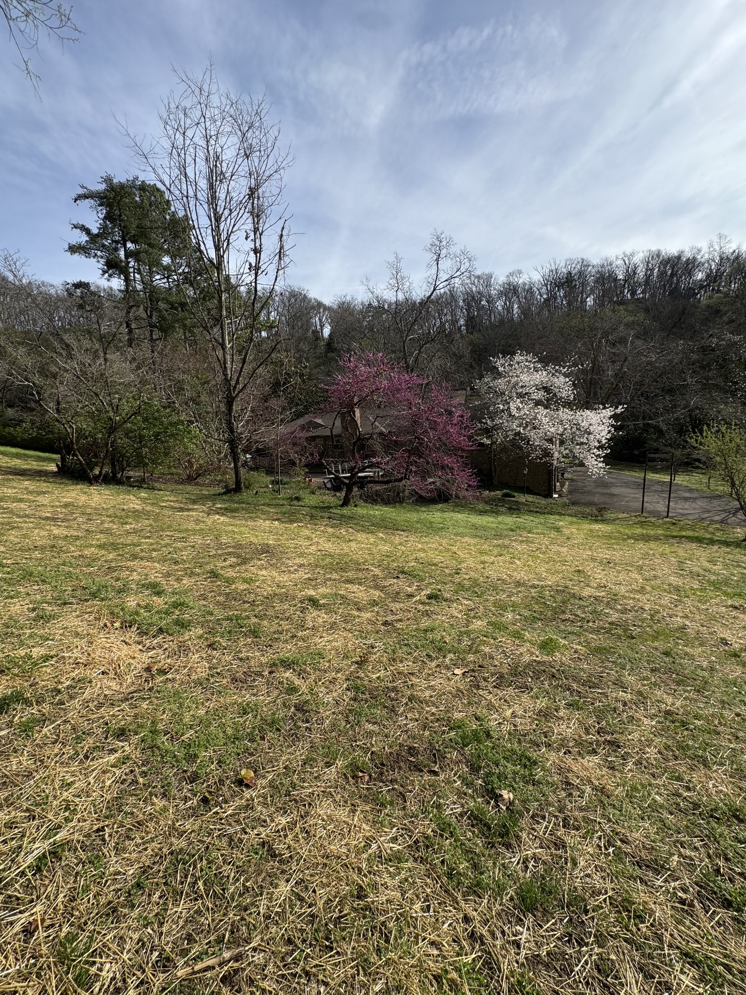 2009 Otter Valley Lane Nashville TN 37215