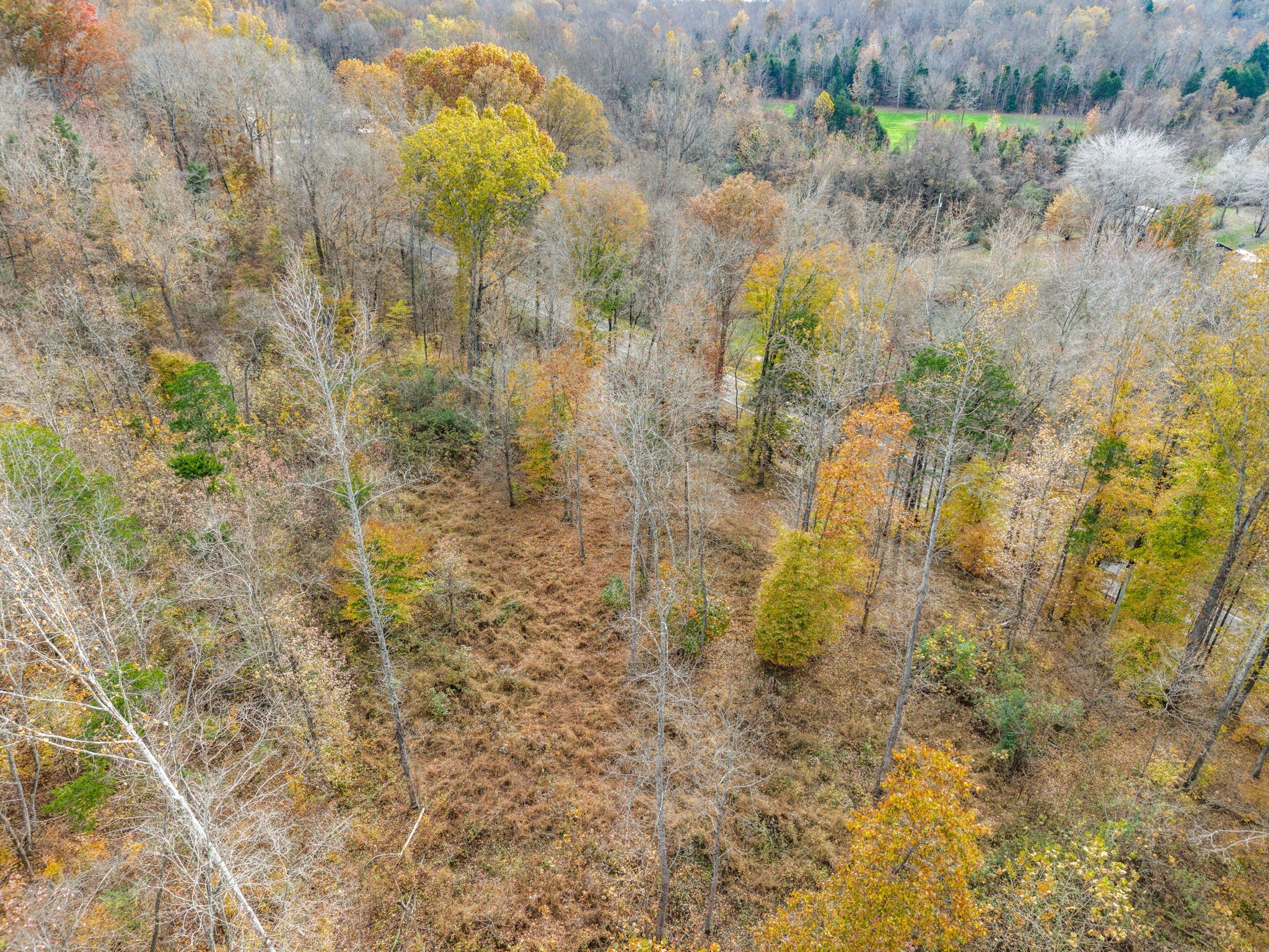 0 Rock Springs Road Charlotte TN 37036