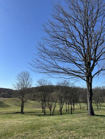 272 Ward Hollow Road Watertown TN 37184