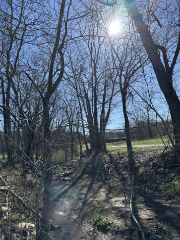 272 Ward Hollow Road Watertown TN 37184