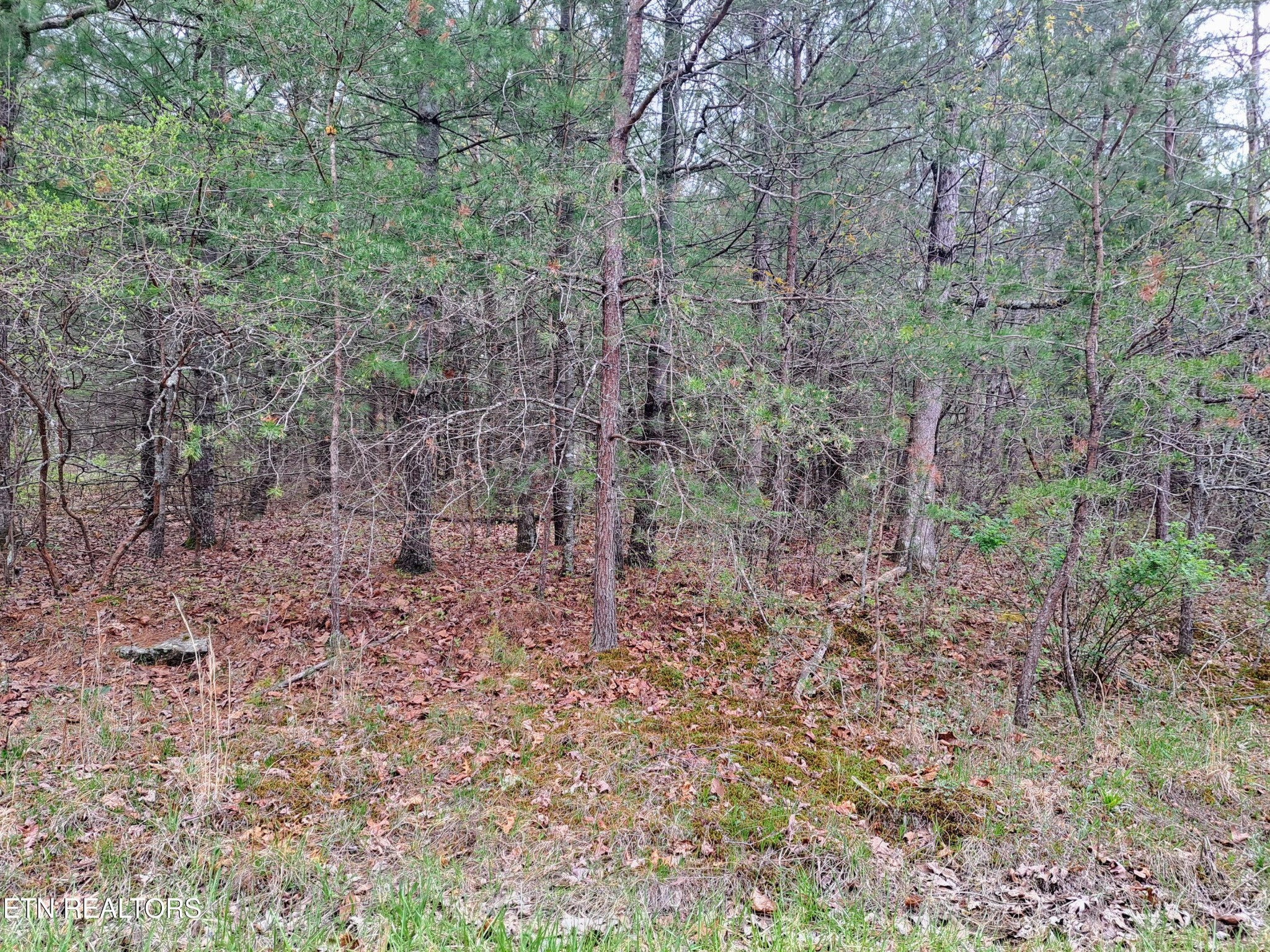 927 Paola Drive Crossville TN 38572