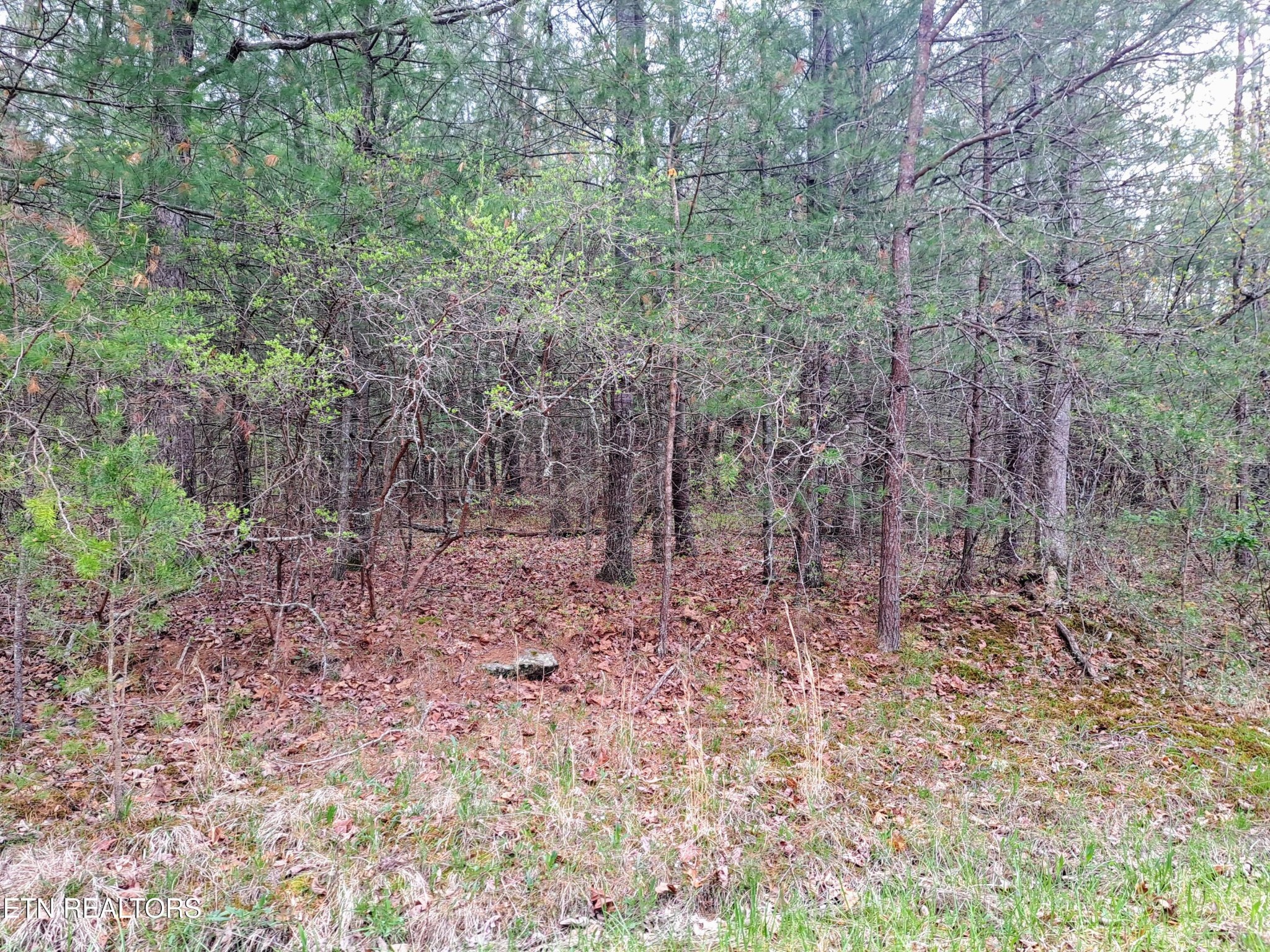 927 Paola Drive Crossville TN 38572