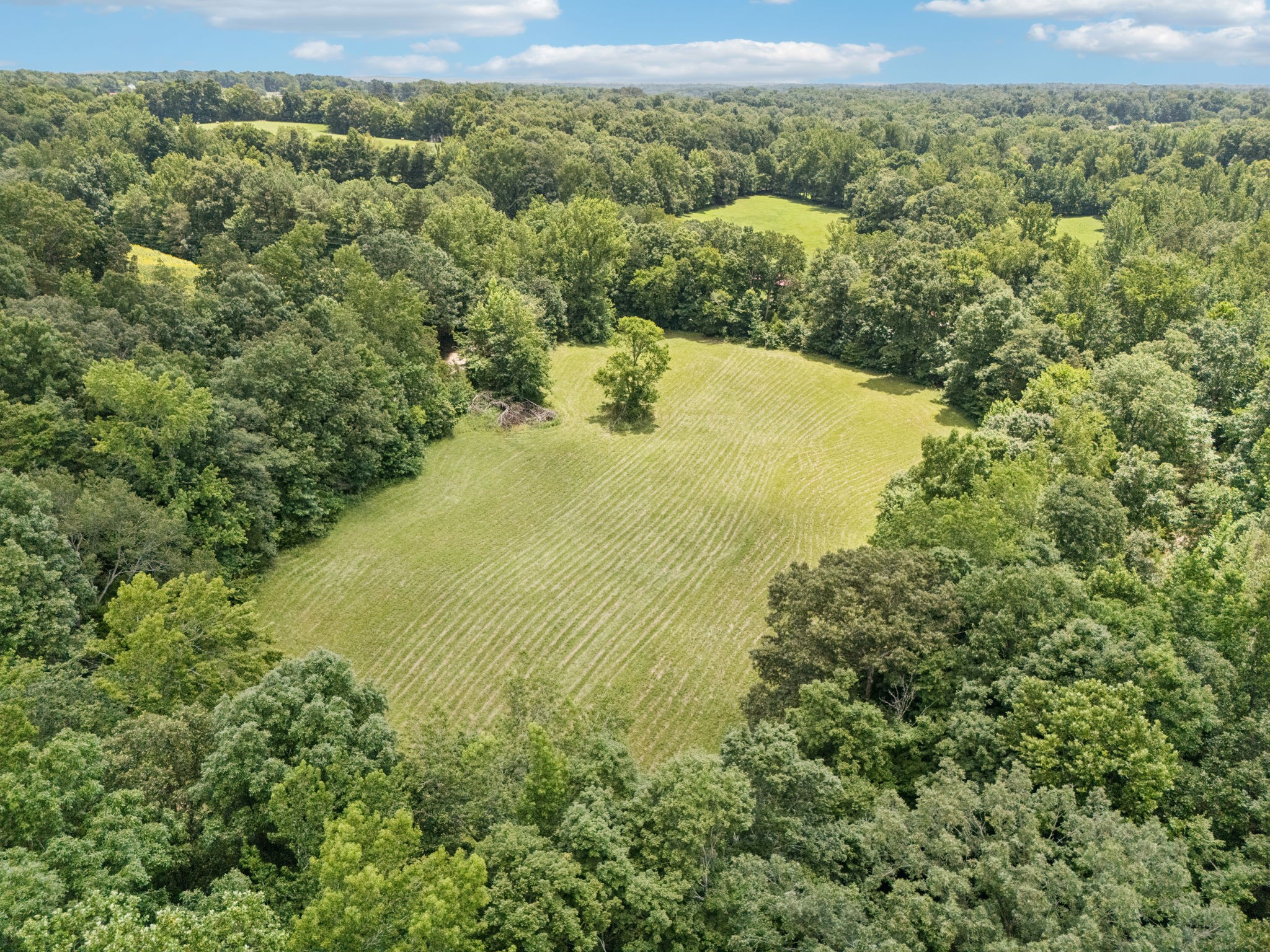 0 Deer Creek Road Mc Ewen TN 37101