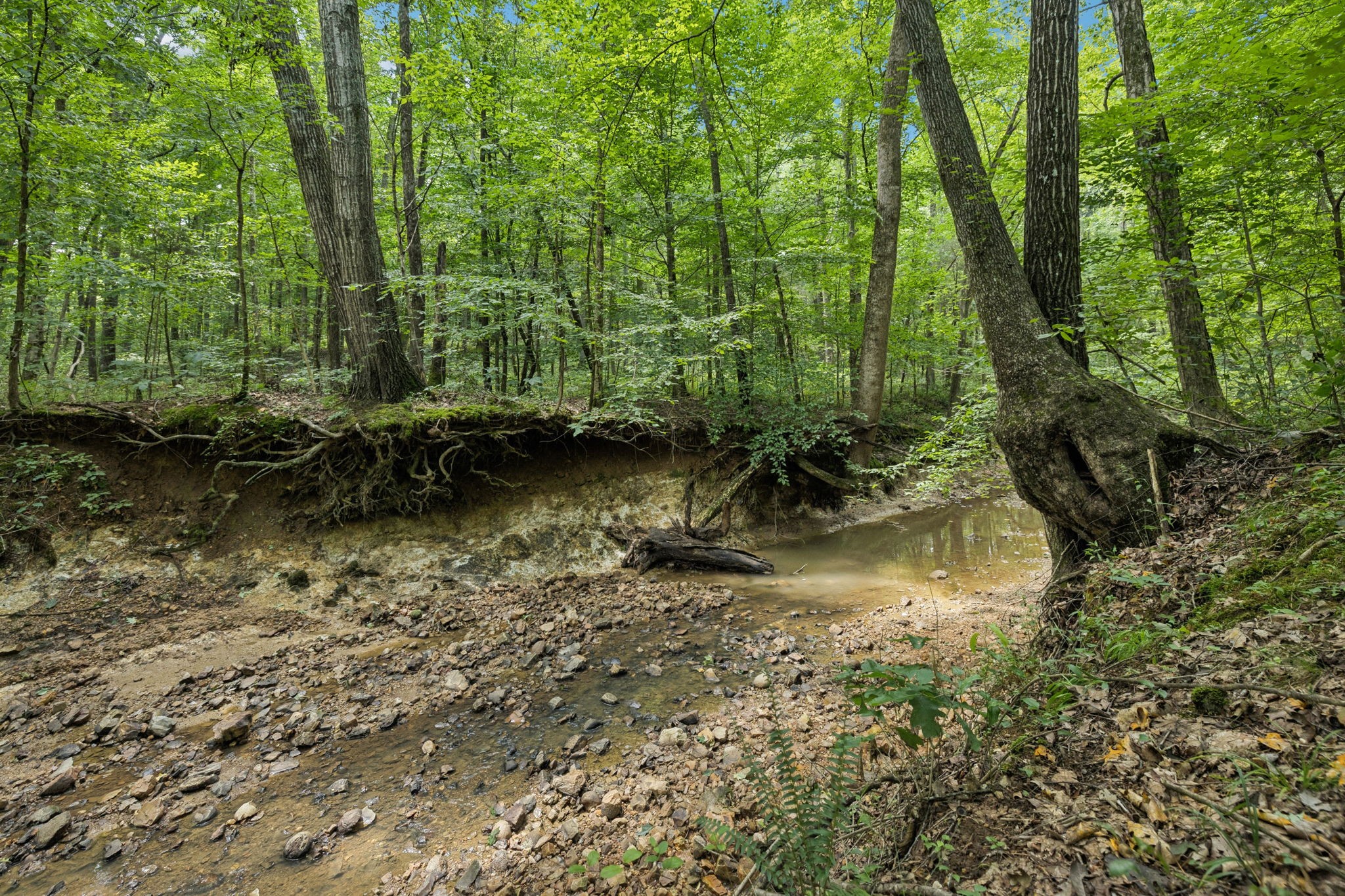 0 Deer Creek Road Mc Ewen TN 37101