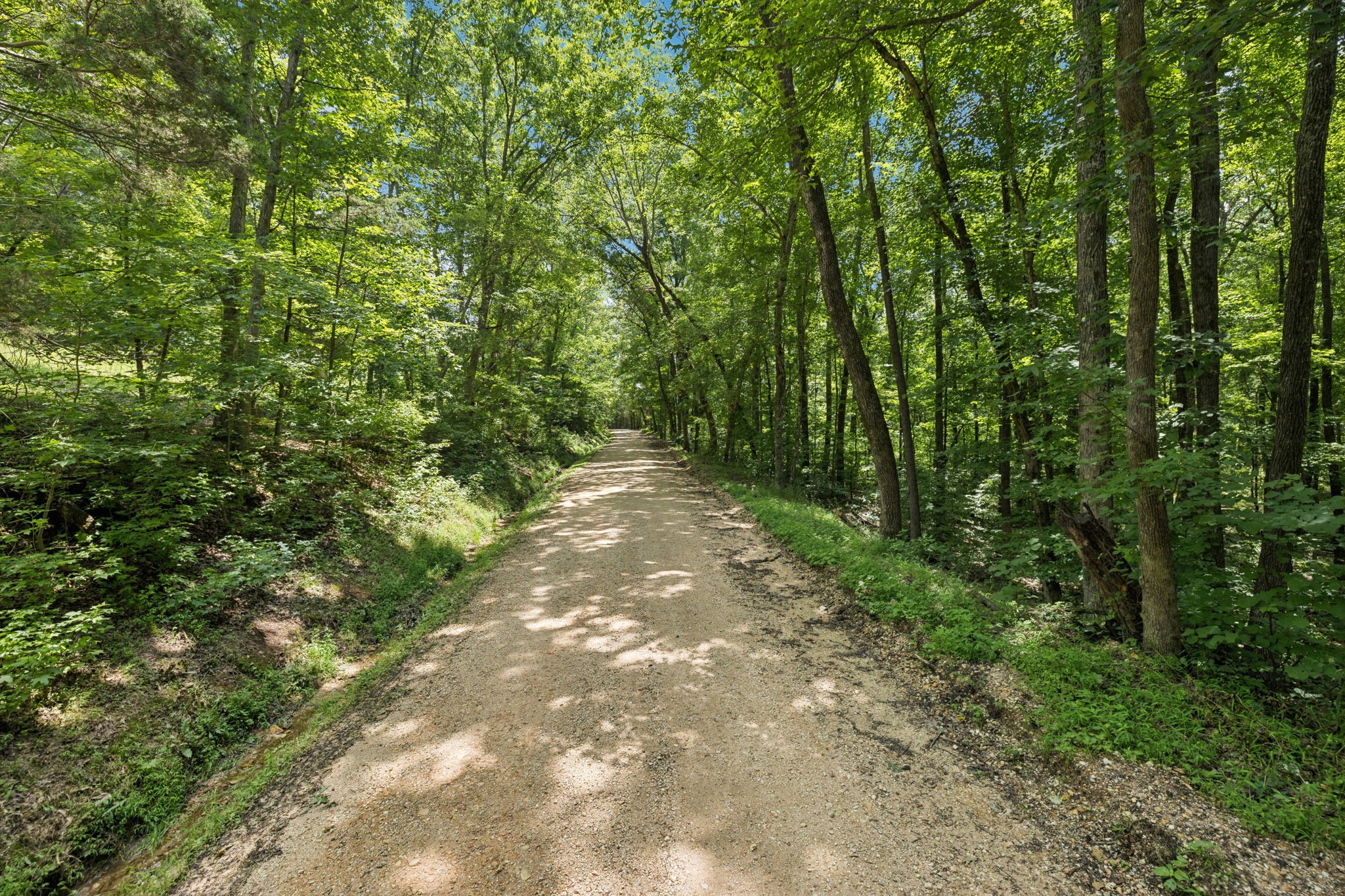 0 Deer Creek Road Mc Ewen TN 37101