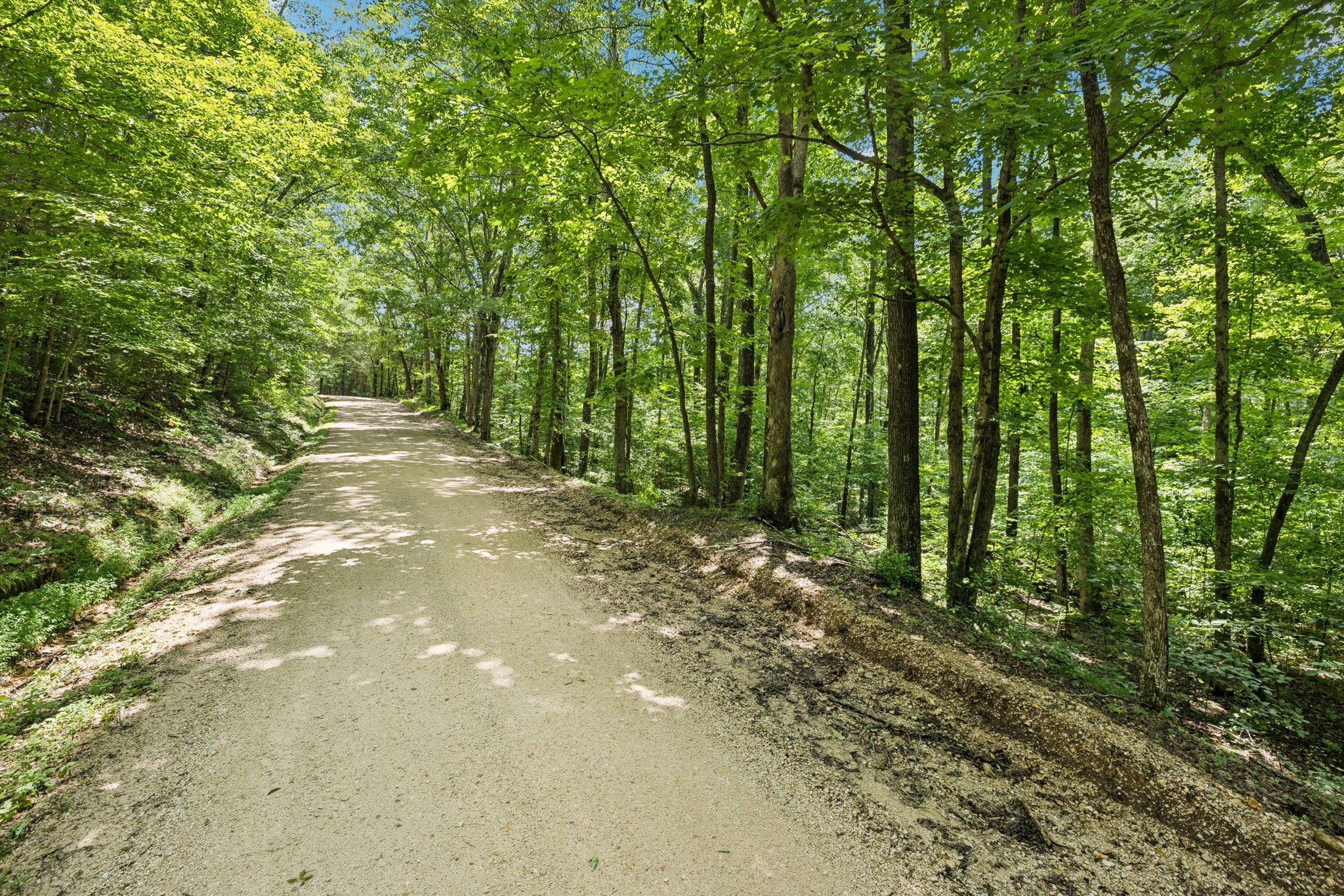 0 Deer Creek Road Mc Ewen TN 37101