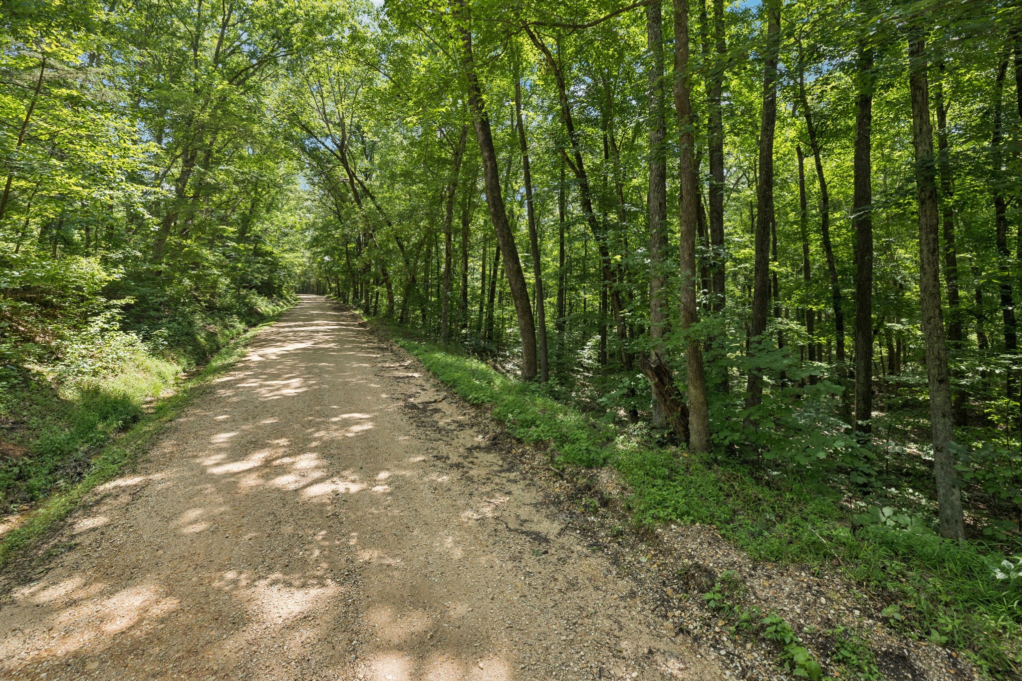 0 Deer Creek Road Mc Ewen TN 37101