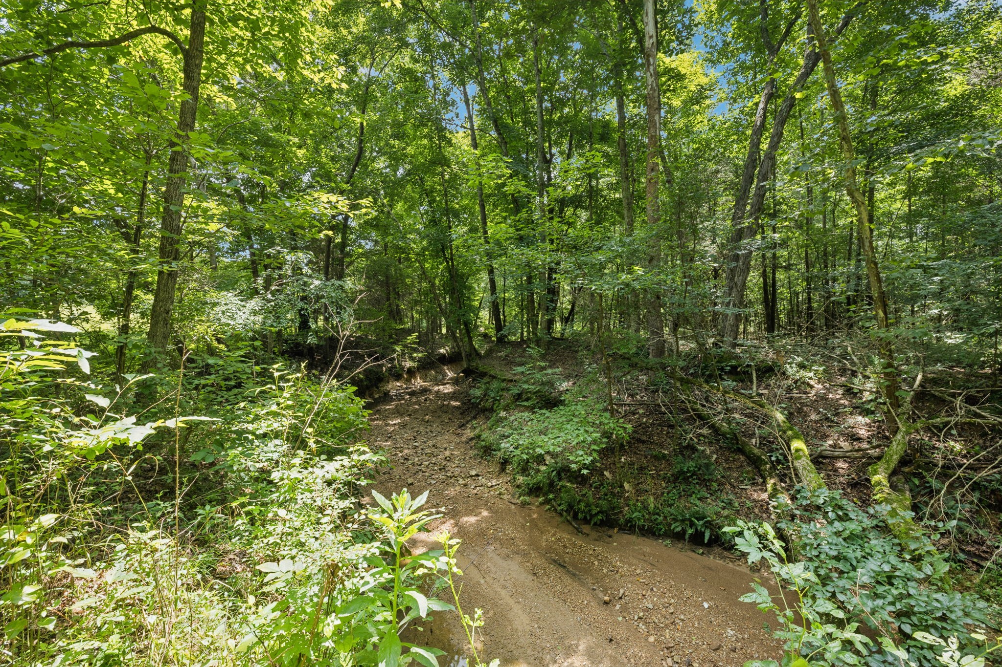 0 Deer Creek Road Mc Ewen TN 37101