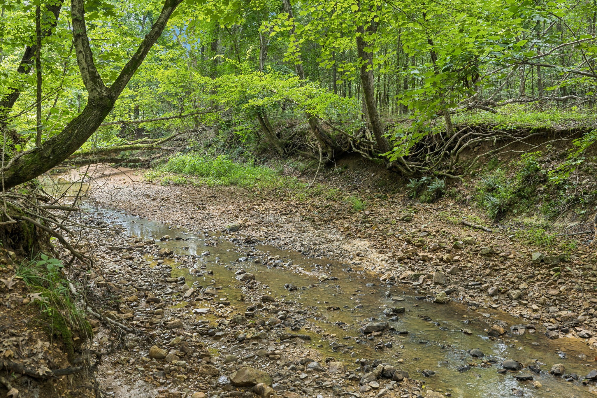 0 Deer Creek Road Mc Ewen TN 37101