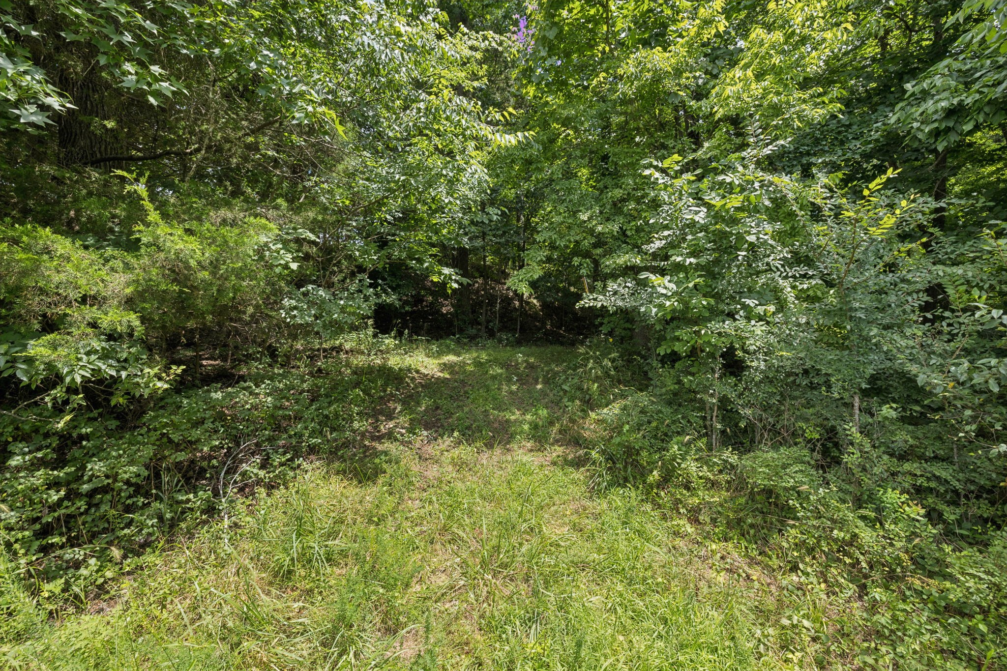 0 Deer Creek Road Mc Ewen TN 37101