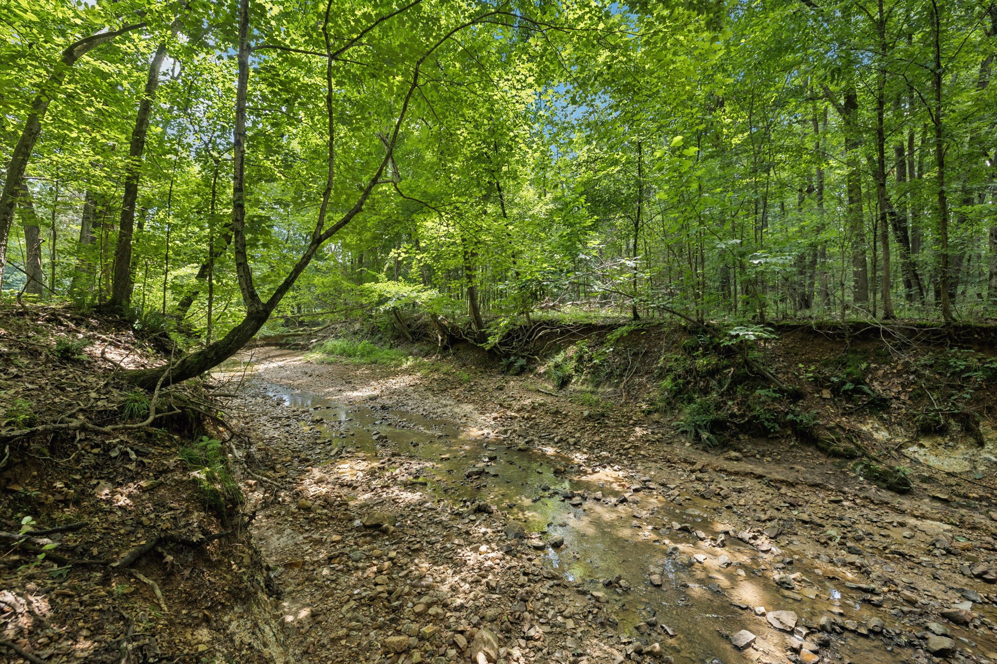 0 Deer Creek Road Mc Ewen TN 37101